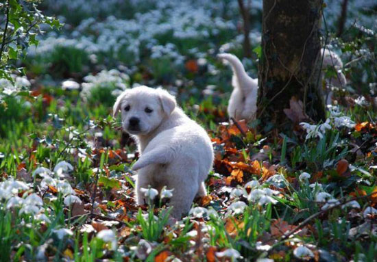Ab in den Wald