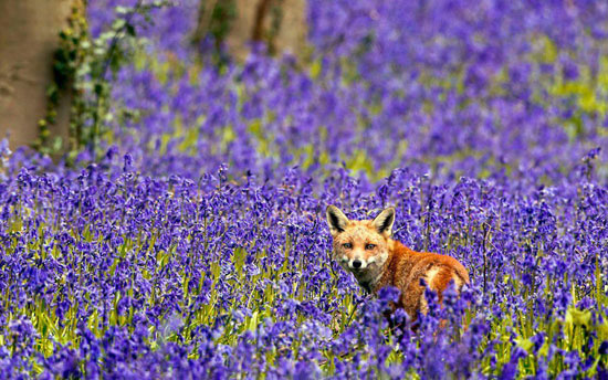 Natur Pur - ist sie nicht schön?
