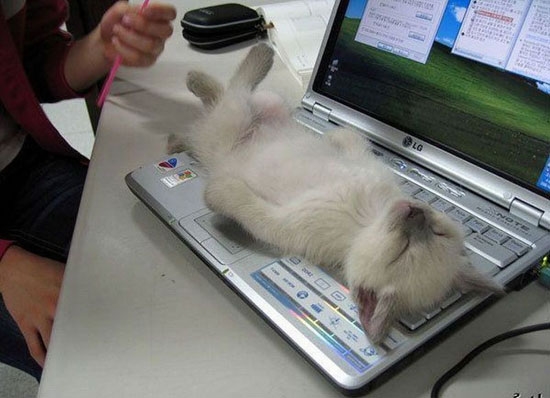 Einfach mal Fett abchillen