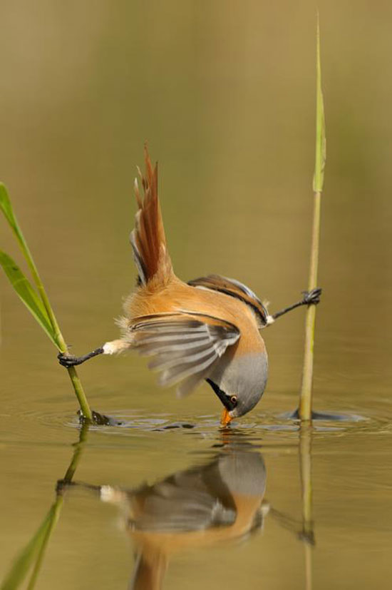 Elegant ART of drinking