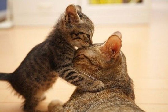 Hab dich lieb Mami