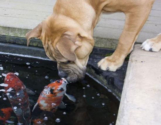 Zurück ins Wasser :)