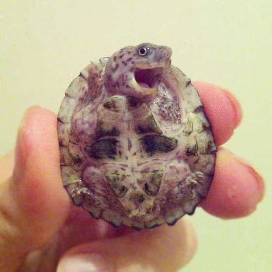 Heyyyyyyy