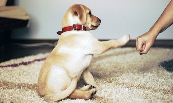 High Five