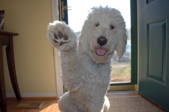 High Five