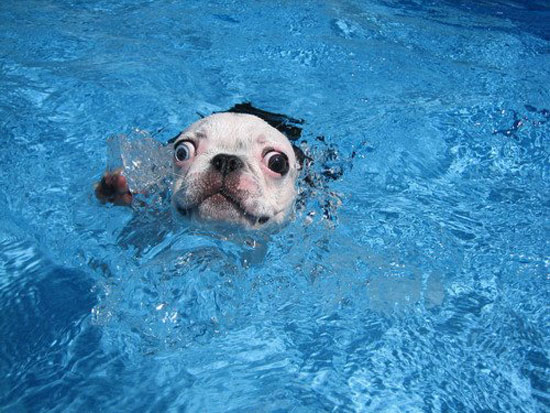 Hiiiiiielfe ich will nicht baden