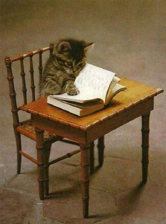 Hmm das ist aber ein Interessantes Buch