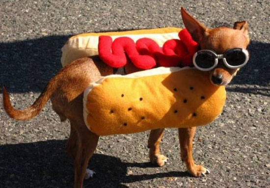 HotDog