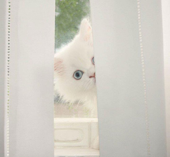 HuuuuHuuu