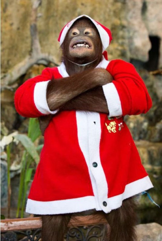 Ich bin der Nikolaus