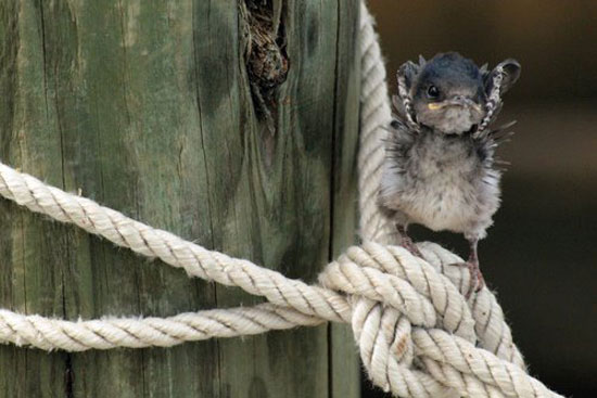 Jeder fangt klein an