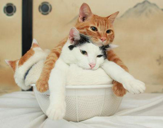 kein Problem da ist genug Platz