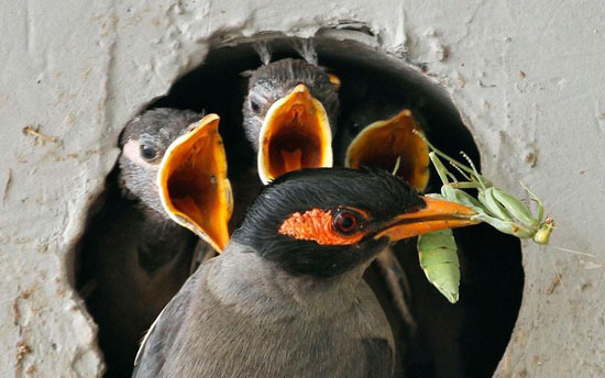 Lecker Frühstück... schmatz
