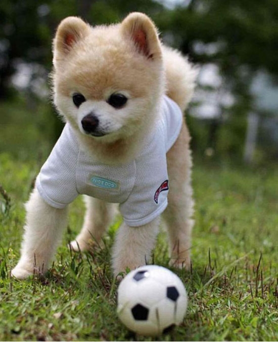 Lets Play