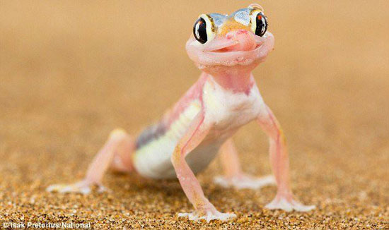 Mhh wo ist denn die Fliege