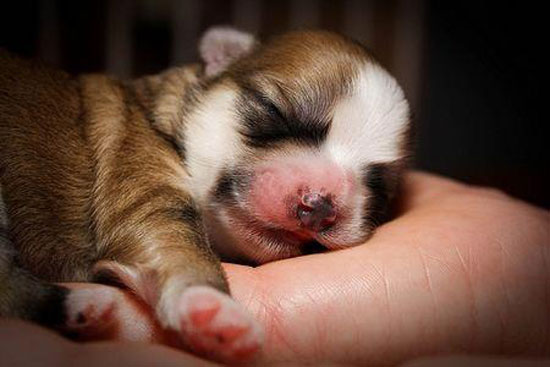One Hand full with Supercute