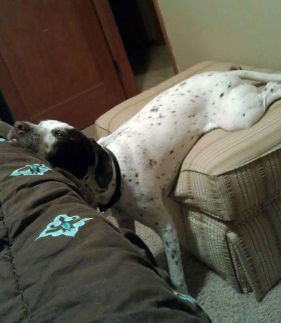 Scheint bequem zu sein