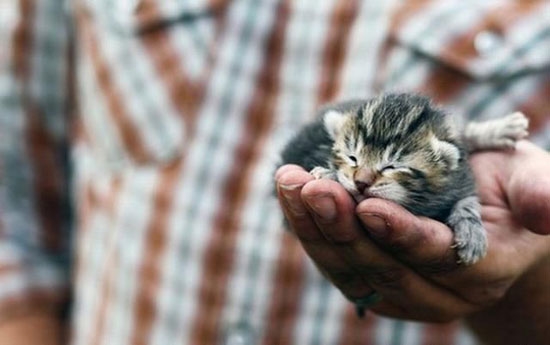 So klein und soooo süss