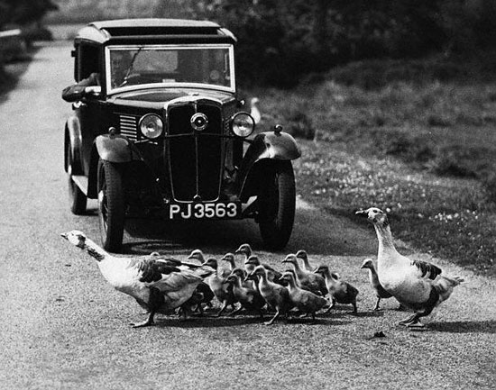 STOP - jetzt kommen wi!r