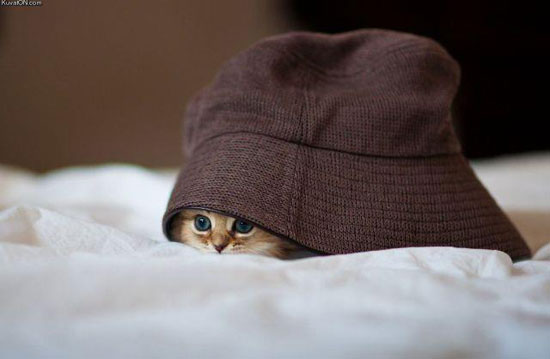 Supergutes Versteck