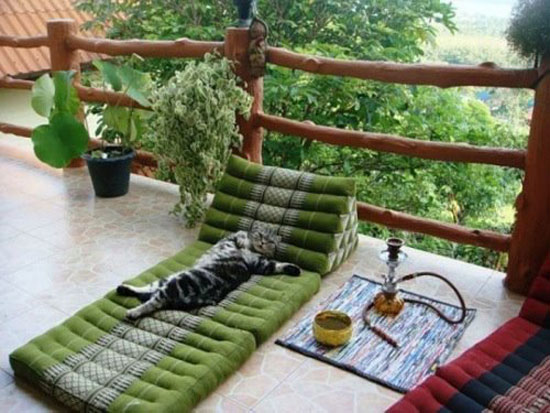 ThaiCat