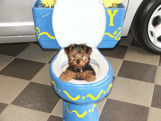 Das ist nicht die Badewanne