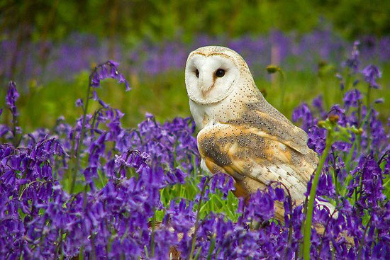 WunderschÃ¶ne Natur