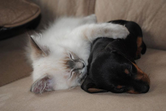 Ying n Yang