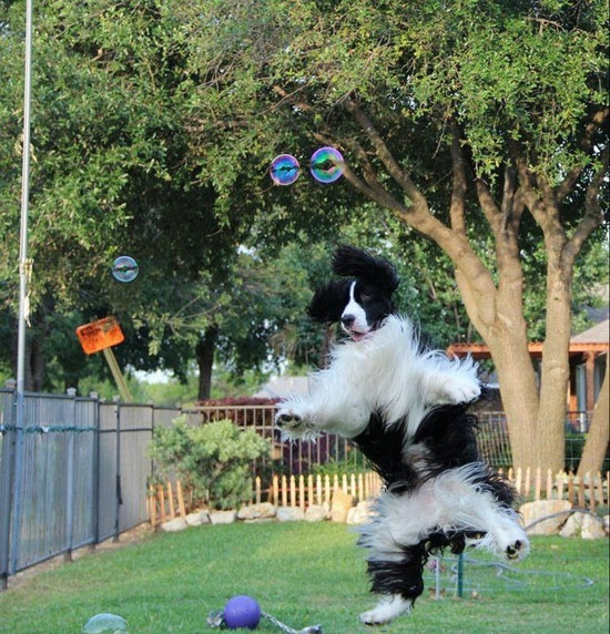 Yipiieieiieeiie ich krieg sie