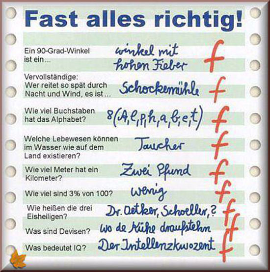 Der Test - Fast alles richtig...