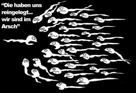 Die haben uns reingelegt
