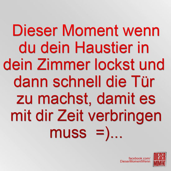 Dieser Moment, wenn