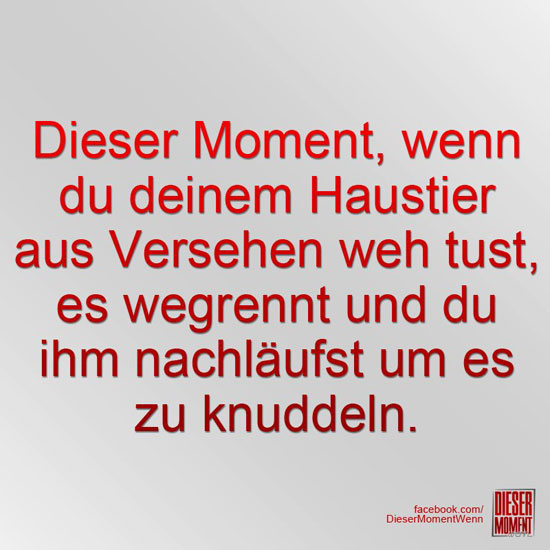 Dieser Moment, wenn
