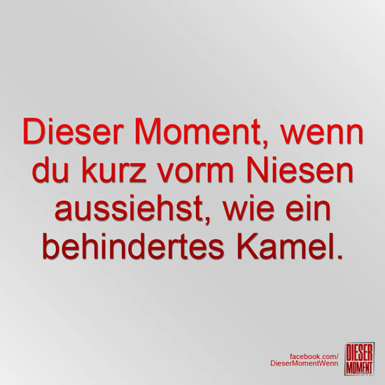 Dieser Moment, wenn...