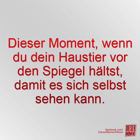 Dieser Moment, wenn...
