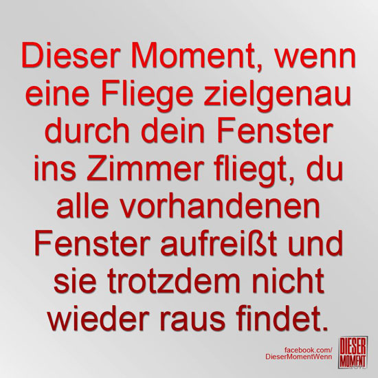 Dieser Moment, wenn...