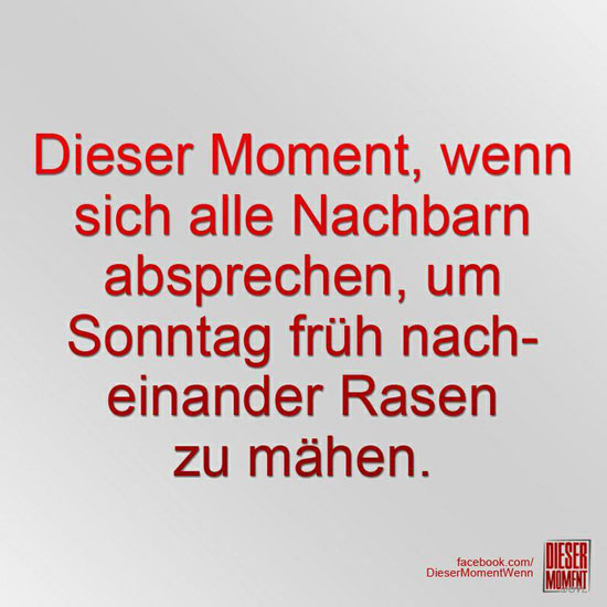 Dieser Moment, wenn...