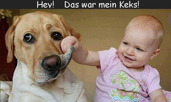 Hey - das war mein Keks