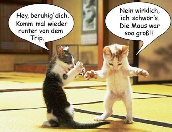 Spruch des Tages