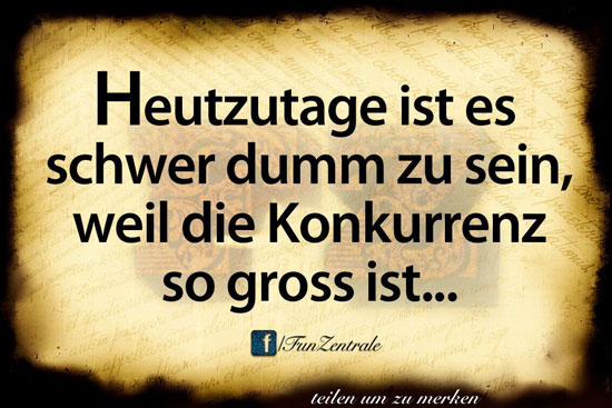 Spruch des Tages