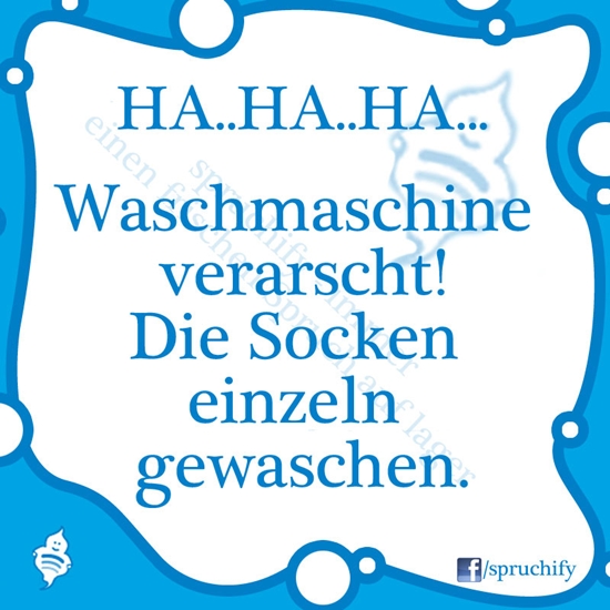 Spruch des Tages