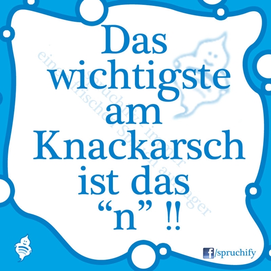 Spruch des Tages