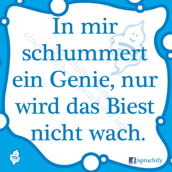 Spruch des Tages