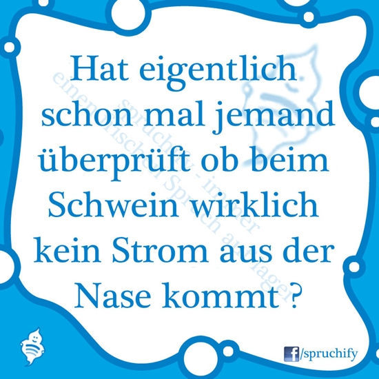 Spruch des Tages