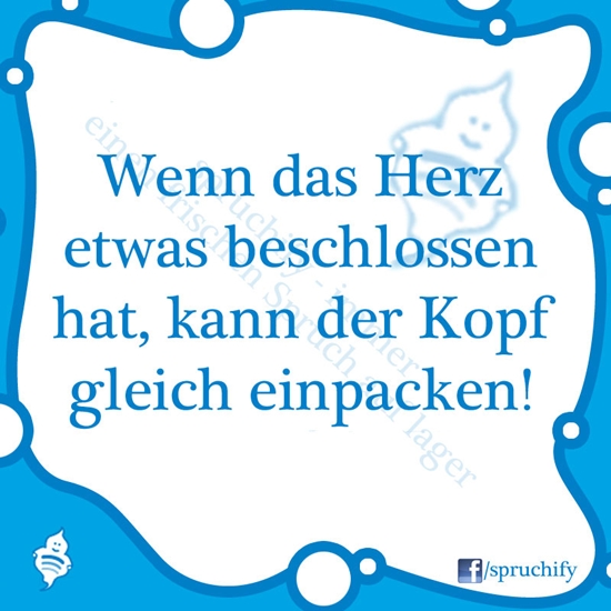 Spruch des Tages