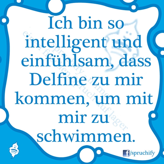 Spruch des Tages