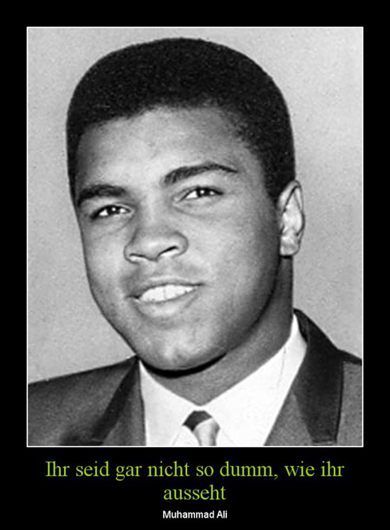 best of demotivators