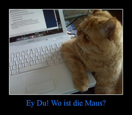 best of demotivators