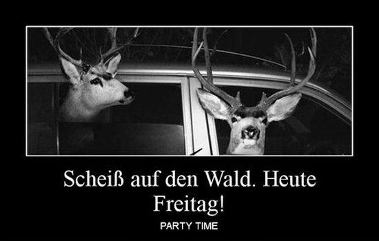 best of demotivators