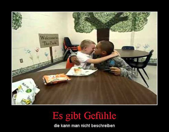 best of demotivators